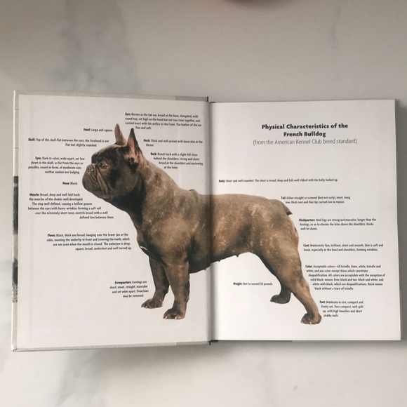 French Bulldog Book - Picture 3 of 6